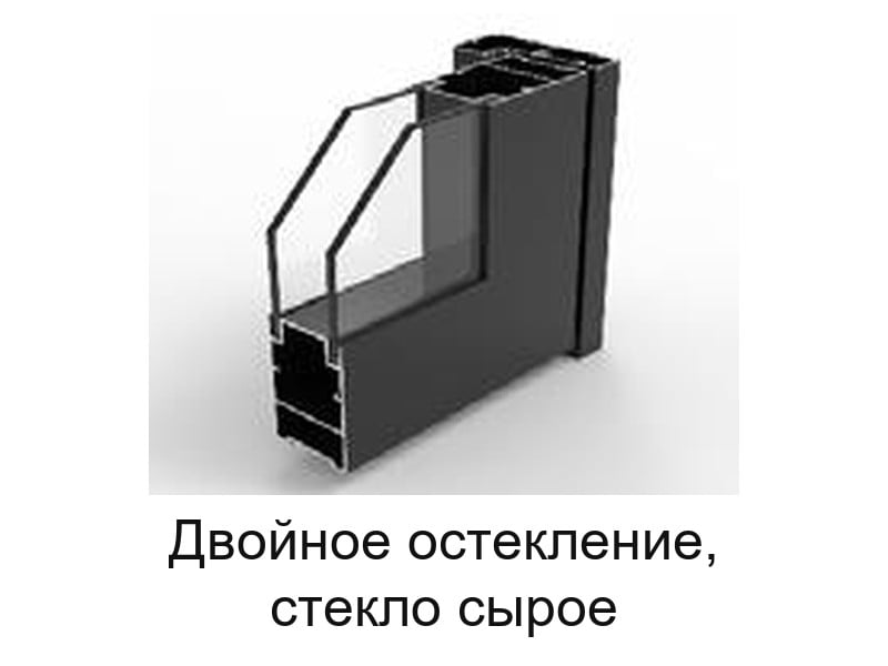 Дверное полотно с двойным остеклением, стекло сырое, чёрный профиль