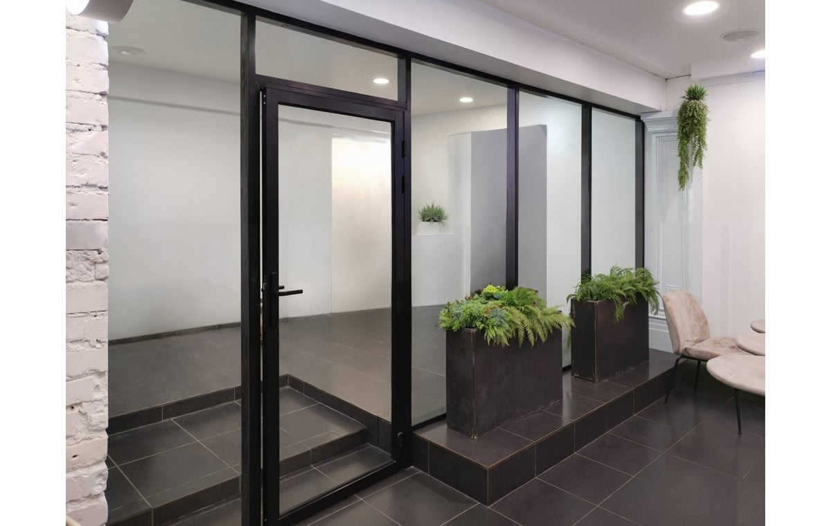 Двери в алюминиевом профиле | фото 13